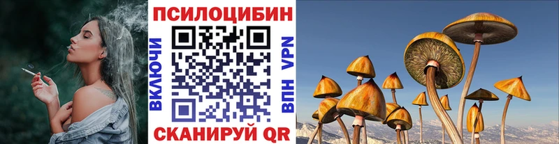 где найти   Холм  Галлюциногенные грибы прущие грибы 